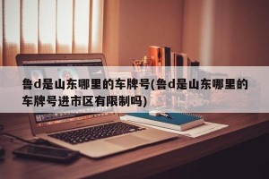 鲁d是山东哪里的车牌号(鲁d是山东哪里的车牌号进市区有限制吗)