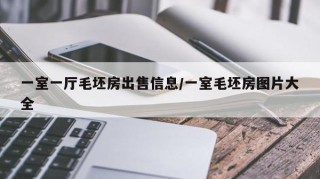 一室一厅毛坯房出售信息/一室毛坯房图片大全