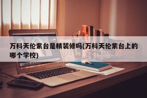 万科天伦紫台是精装修吗(万科天伦紫台上的哪个学校)