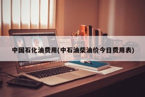 中国石化油费用(中石油柴油价今日费用表)