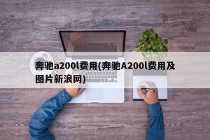 奔驰a200l费用(奔驰A200l费用及图片新浪网)