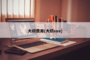 大切费用(大切suv)