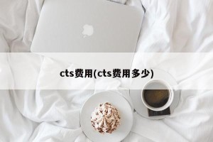cts费用(cts费用多少)