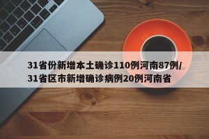 31省份新增本土确诊110例河南87例/31省区市新增确诊病例20例河南省