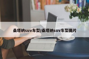 桑塔纳suv车型/桑塔纳suv车型图片