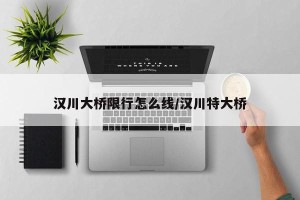 汉川大桥限行怎么线/汉川特大桥