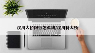 汉川大桥限行怎么线/汉川特大桥