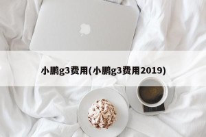 小鹏g3费用(小鹏g3费用2019)