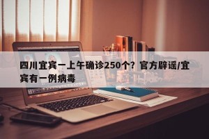 四川宜宾一上午确诊250个？官方辟谣/宜宾有一例病毒