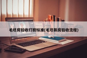 毛坯房验收打胶标准(毛坯新房验收流程)