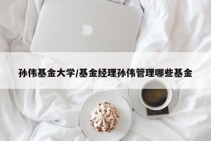 孙伟基金大学/基金经理孙伟管理哪些基金