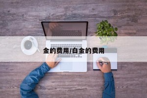 金的费用/白金的费用